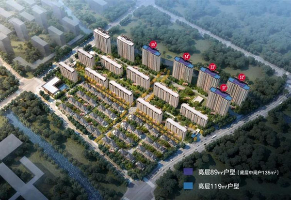 奥山国香樾里