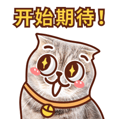 猫咪期待可爱萌宠动态表情包.gif