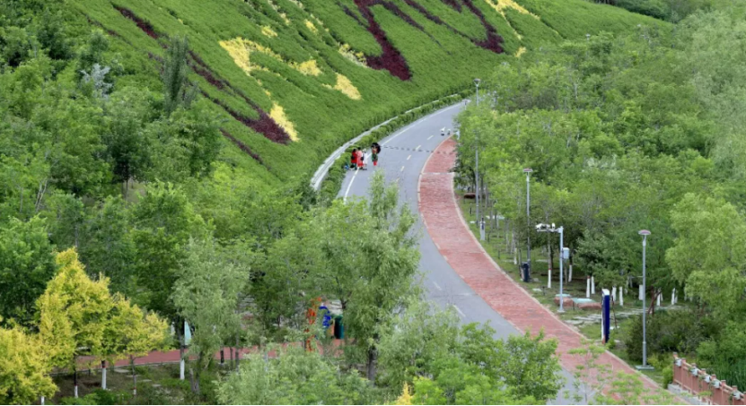 高温暴击连续七天!来乌鲁木齐大小绿谷带你逃离高温天气!